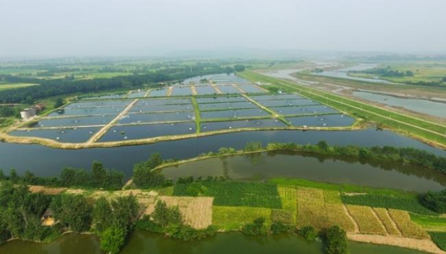 湖广熟天下足指哪里