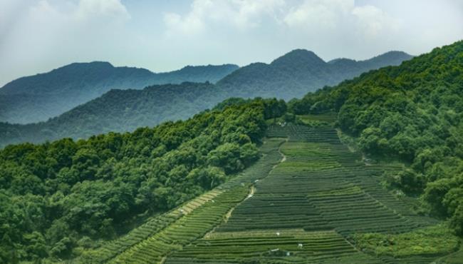 尼山位于山东的哪里