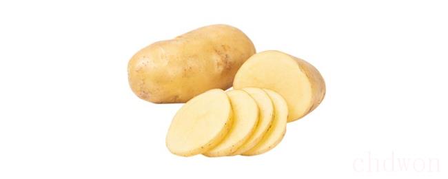 土豆属于什么类