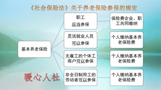 五险都包括什么（个人社保五险查询流程）