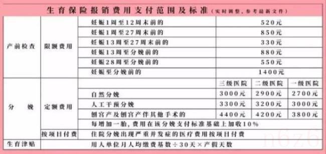 生育保险怎么用（生育险最新新政策）