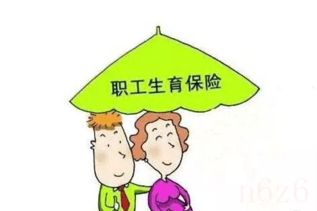 生育保险怎么用（生育险最新新政策）