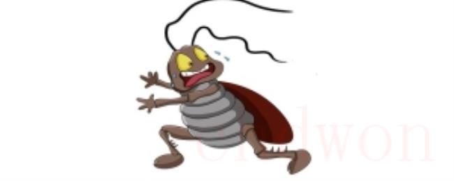 蟑螂怕什么东西