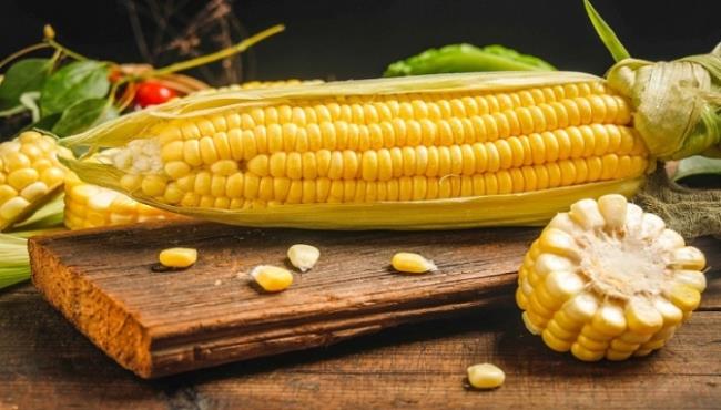 玉米是主食吗