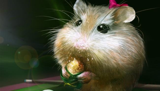 hamster是什么动物