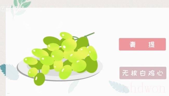 葡萄的种类