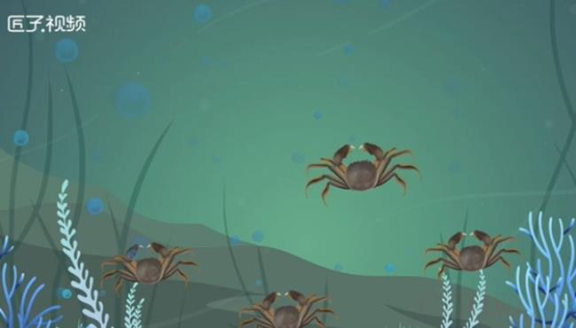 活螃蟹怎么保存